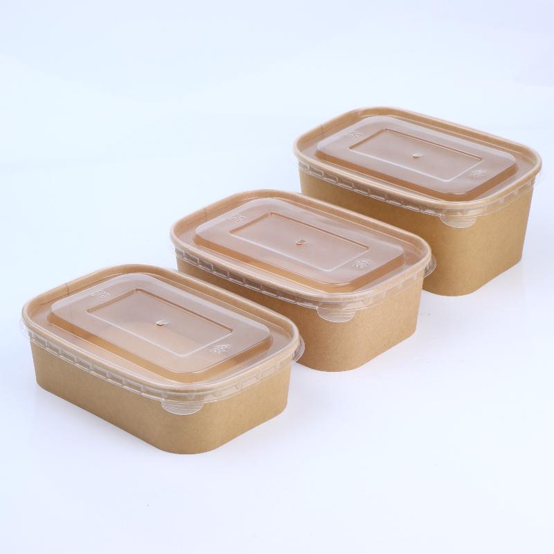 10 Stück quadratische Einweg-L – Meal Prep Bowl Bewertung und Preis