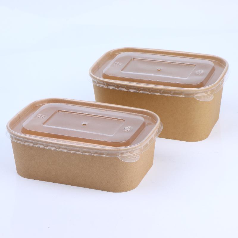 10 Stück quadratische Einweg-L – Meal Prep Bowl Bewertung und Preis